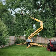 Best Tree Risk Assessment  in Utica, IN