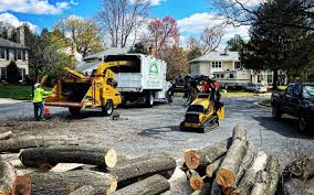 Best Fruit Tree Pruning  in Utica, IN