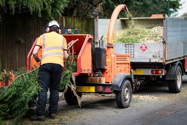  Utica, IN Tree Services Pros