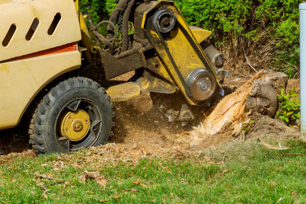 Best Organic Lawn Care Solutions  in Utica, IN