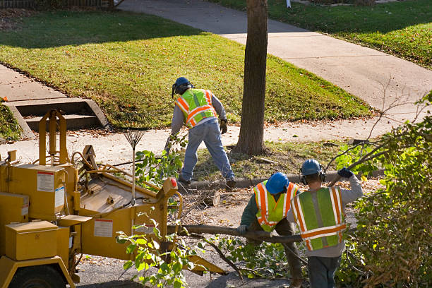Best Lawn Watering Services  in Utica, IN